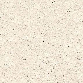 Textured Saxony Focused White Carpet