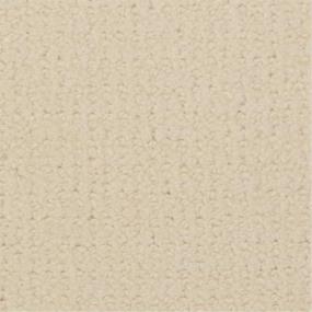 Pattern Cottage White Beige/Tan Carpet