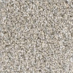 Textured Saxony Guardian Beige/Tan Carpet