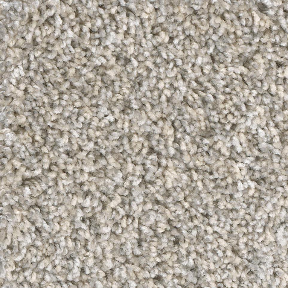 Texture Guardian  Carpet