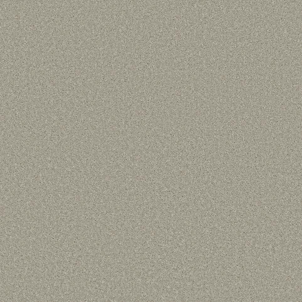 Texture Stucco Beige/Tan Carpet