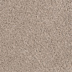 Textured Saxony Trade Winds Beige/Tan Carpet