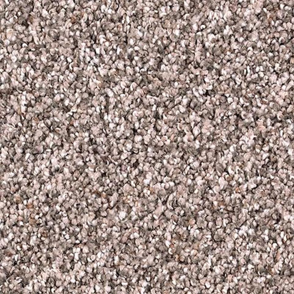 Textured Saxony Fedora Grey Gray Carpet