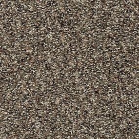 Textured Saxony Woodland Brown Carpet