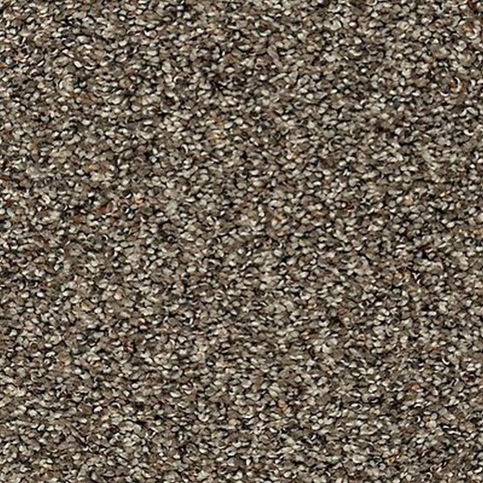 Textured Saxony Woodland Brown Carpet