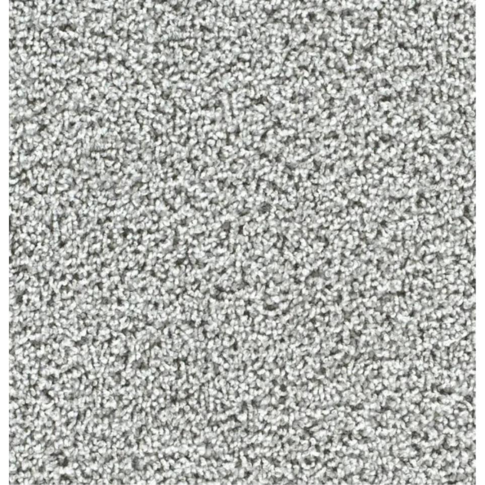 Textured Saxony Masterful Gray Carpet
