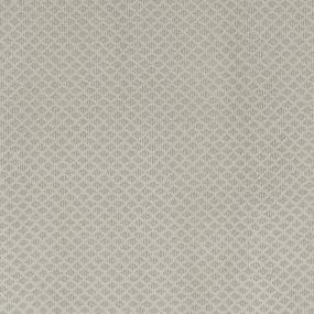 Pattern Champagne Gray Carpet