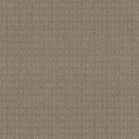 Pattern Nickel                         Beige/Tan Carpet