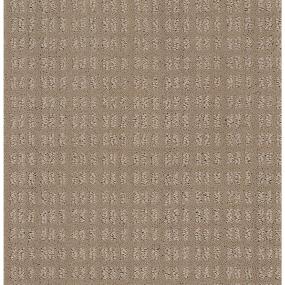 Pattern Nickel                         Beige/Tan Carpet