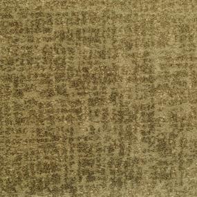 Pattern Sherman Oaks Brown Carpet