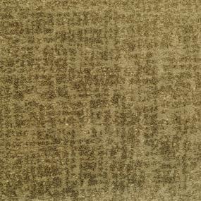 Pattern Sherman Oaks Brown Carpet