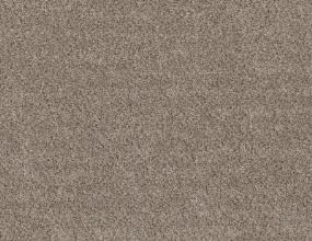 Texture Shoreline Beige/Tan Carpet