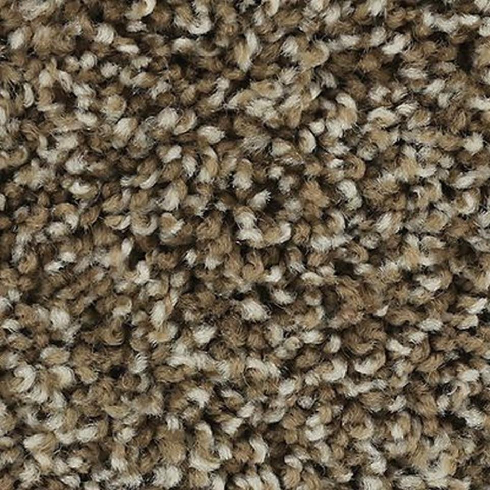 Textured Saxony Mesquite Chip Brown Carpet