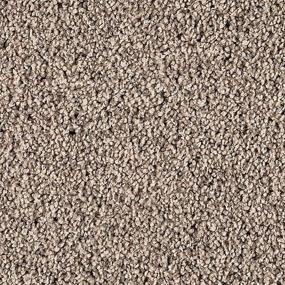 Textured Saxony Dapper Beige/Tan Carpet