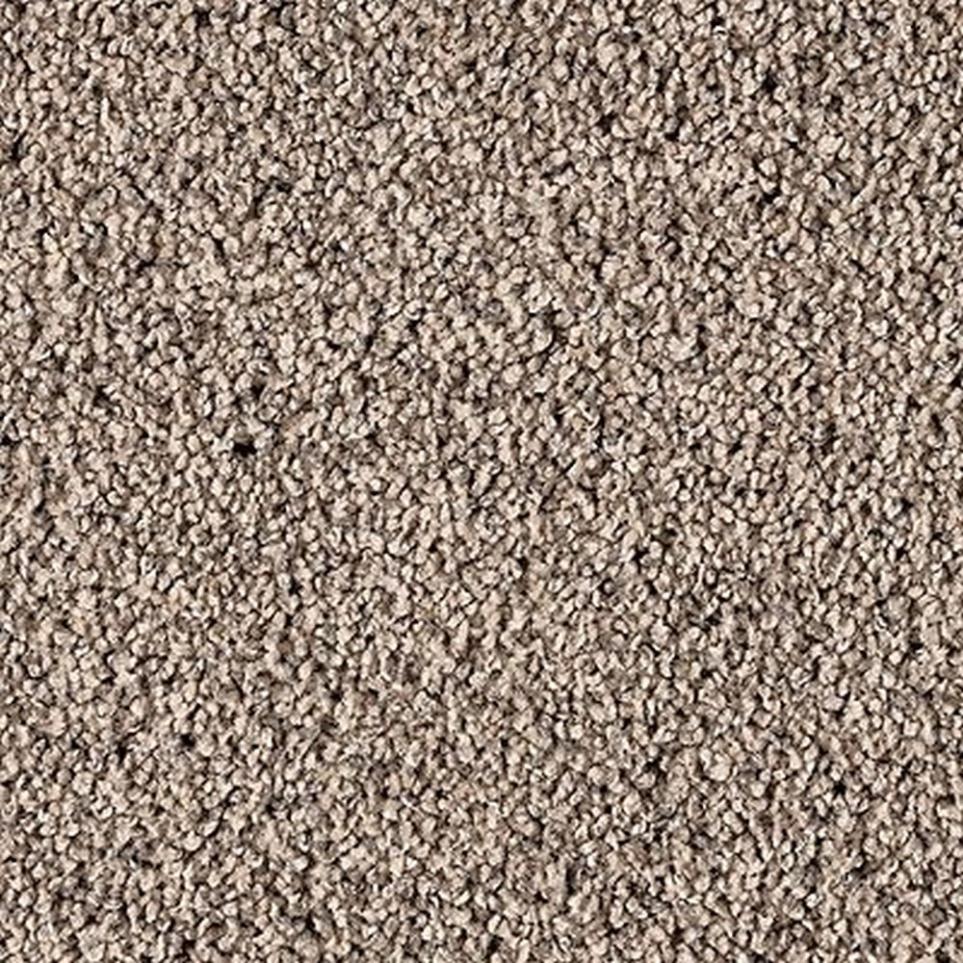 Textured Saxony Dapper Beige/Tan Carpet