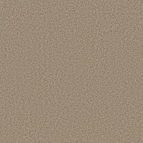 Textured Saxony Praline Beige/Tan Carpet