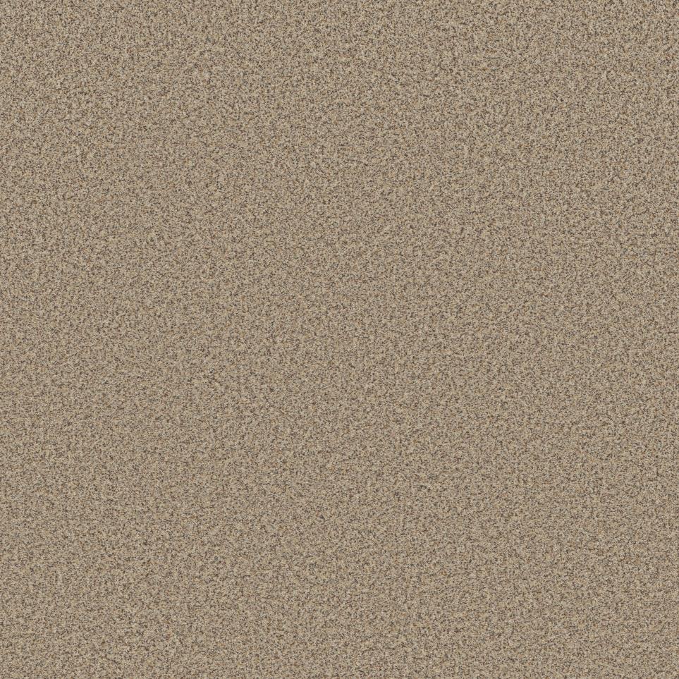 Textured Saxony Praline Beige/Tan Carpet