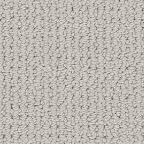 Loop Boulevard Gray Carpet