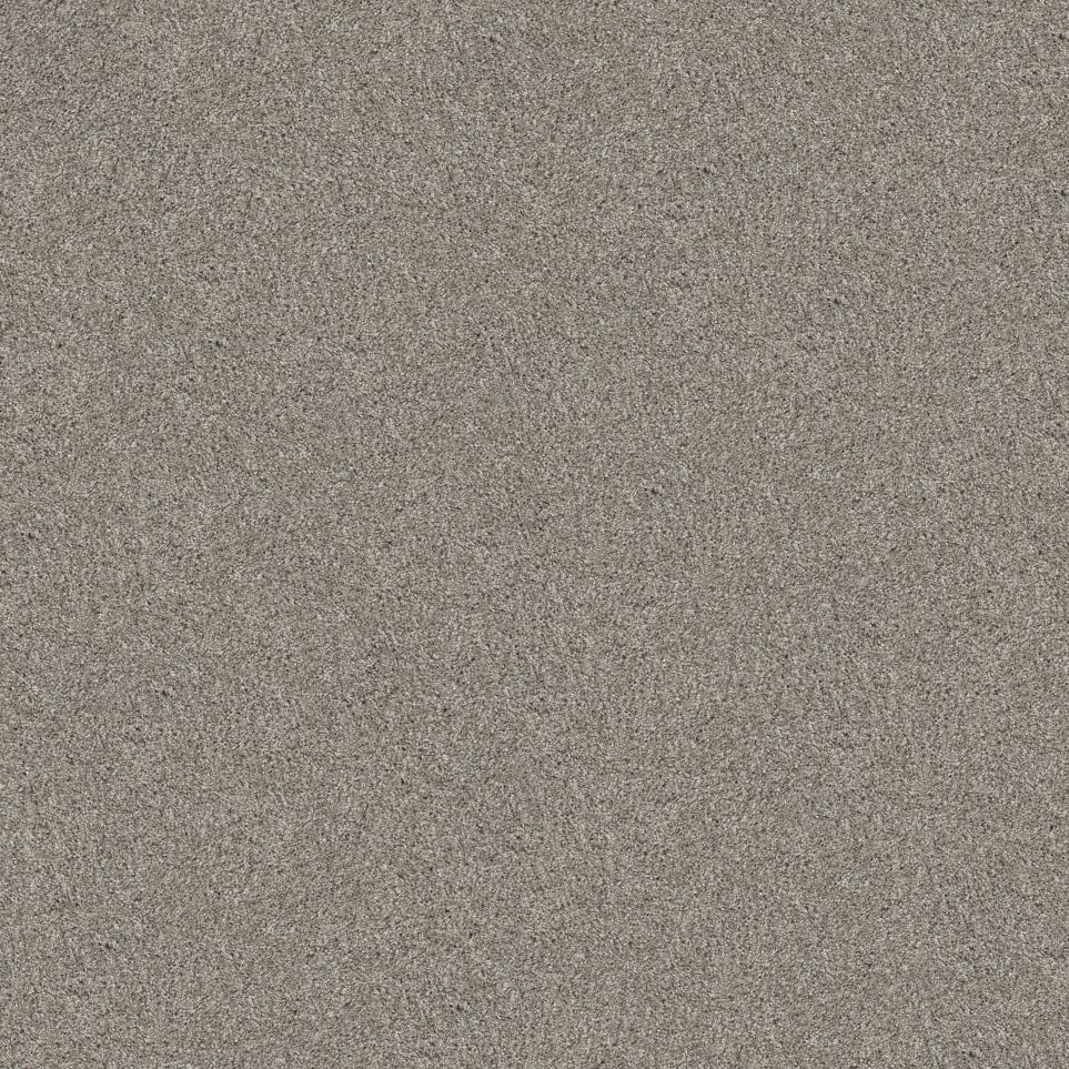 Casual Texture Frost Beige/Tan Carpet