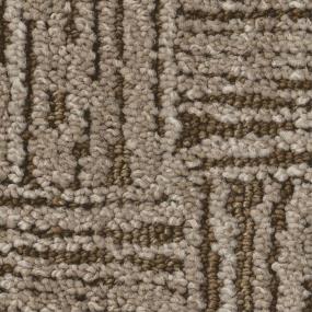 Pattern Bison Beige/Tan Carpet
