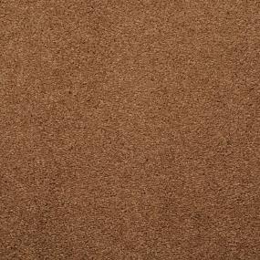 Casual Texture Barley Brown Carpet