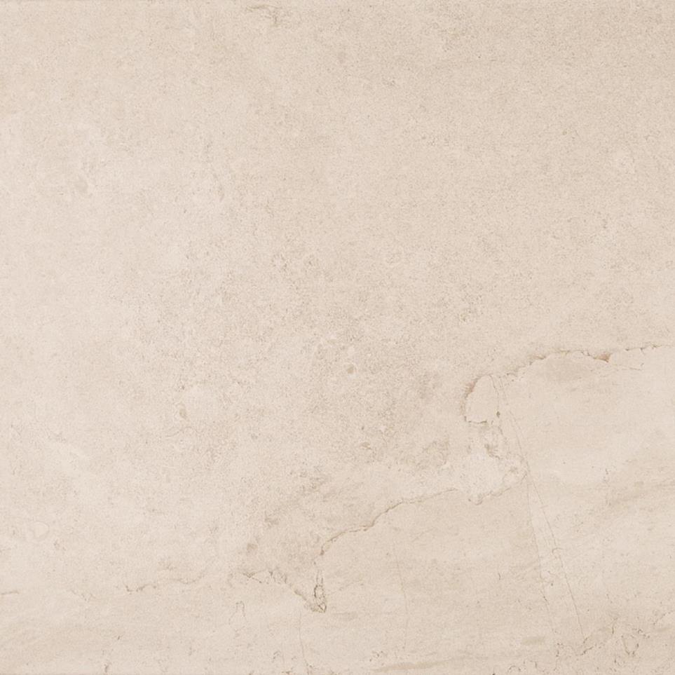 Tile Mural Taupe Matte Beige/Tan Tile