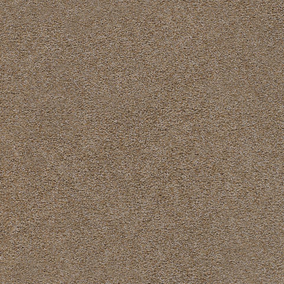 Textured Saxony Monumental Brown Carpet