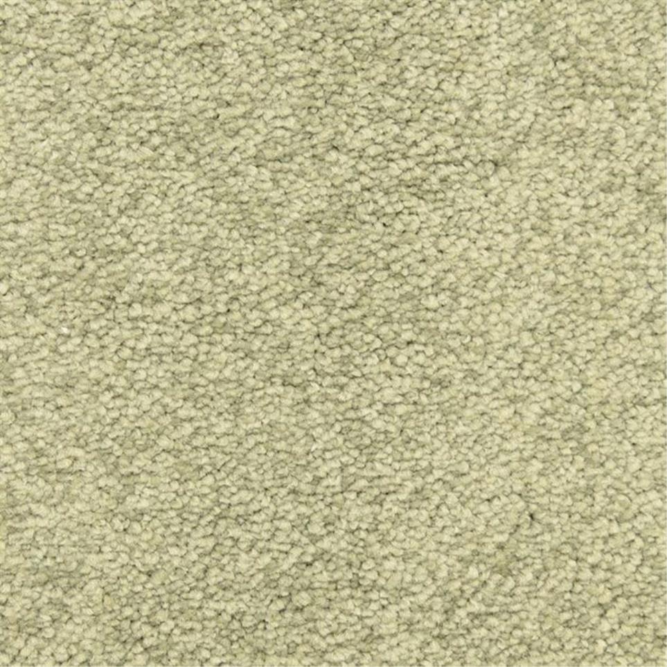 Casual Texture Spanish Moss Green Carpet