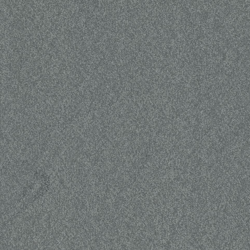 Casual Texture Hike Gray Carpet