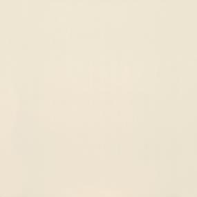 Tile Paint Polished Beige/Tan Tile