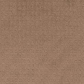 Pattern Natural Brown Carpet