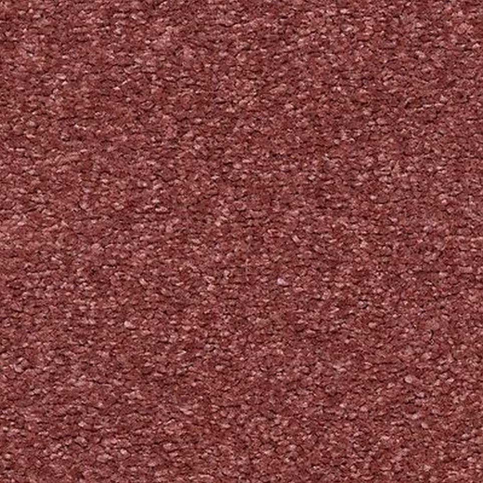 Textured Saxony Perfection Red Carpet