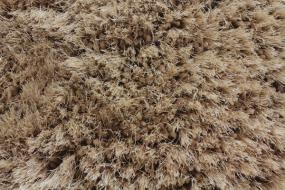 Sand  Carpet