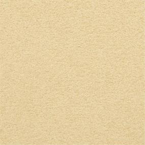 Casual Texture Savvey Beige/Tan Carpet