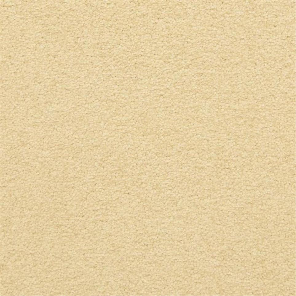 Casual Texture Savvey Beige/Tan Carpet