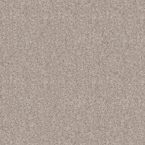 Textured Saxony Smithsonian Beige/Tan Carpet