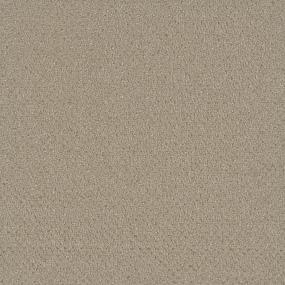 Pattern Charisma Brown Carpet