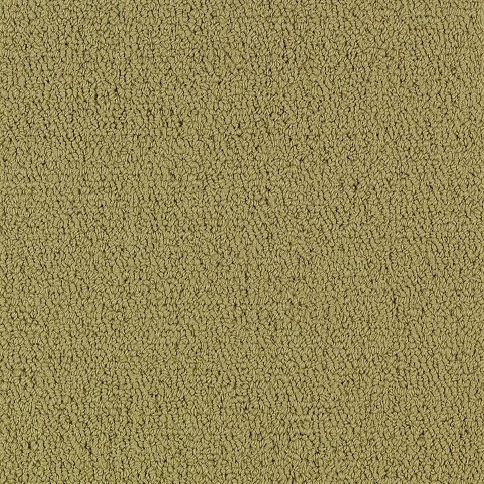 Loop Sage Brush Beige/Tan Carpet