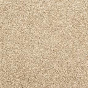 Casual Texture Taffy Beige/Tan Carpet