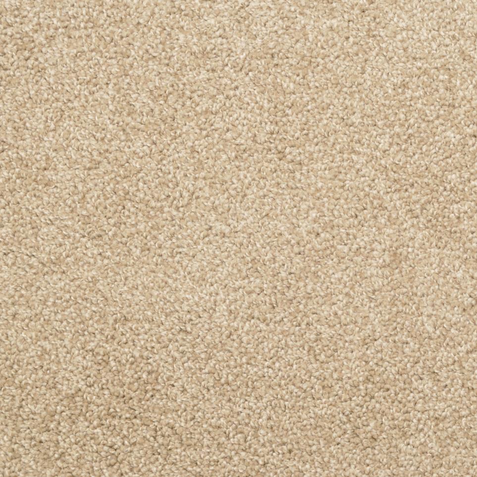 Casual Texture Taffy Beige/Tan Carpet