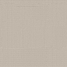 Pattern Whiskers Beige/Tan Carpet
