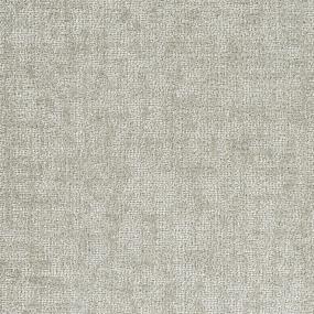 Loop Gallery Beige/Tan Carpet
