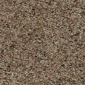 Textured Saxony Toasted Seed Brown Carpet