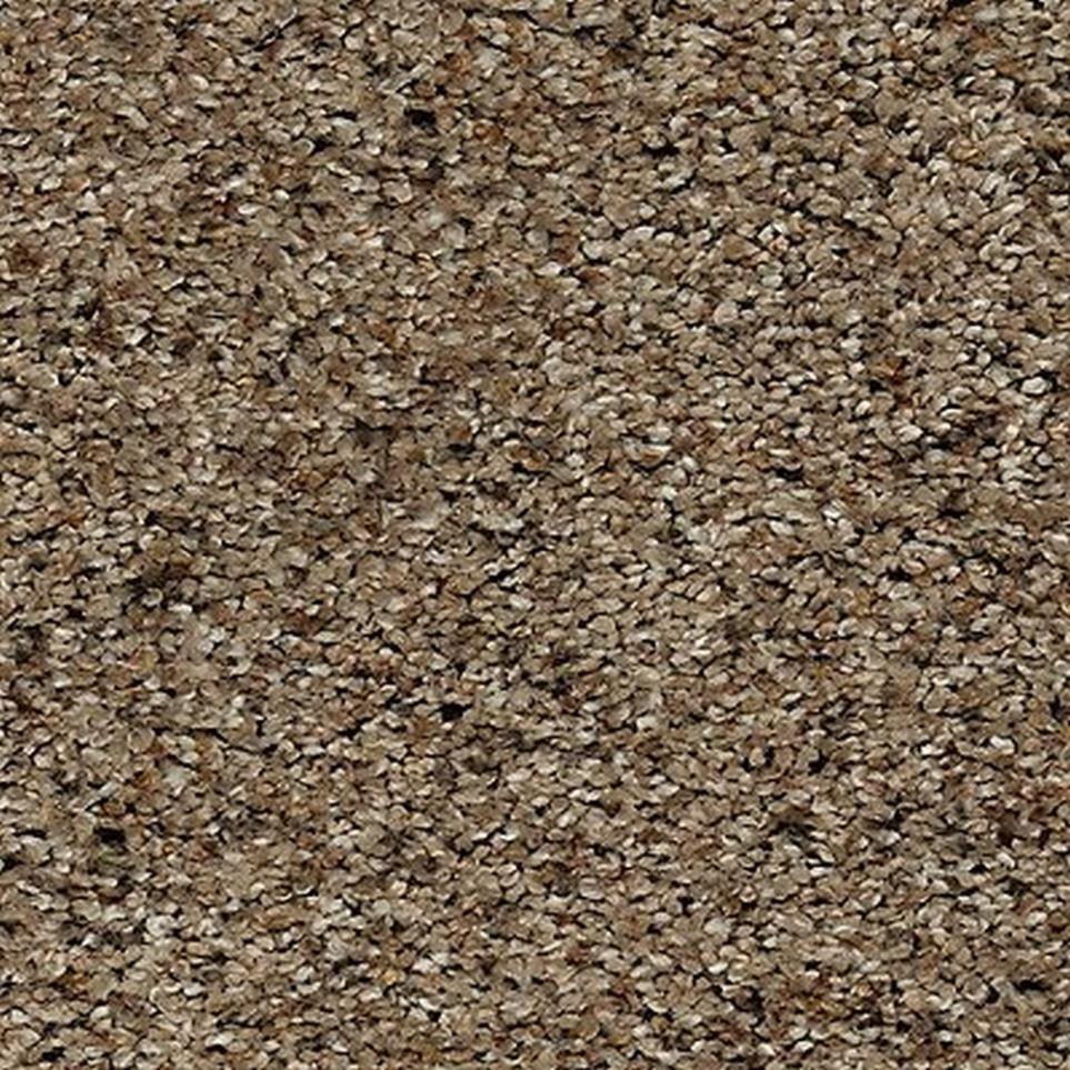 Textured Saxony Toasted Seed Brown Carpet