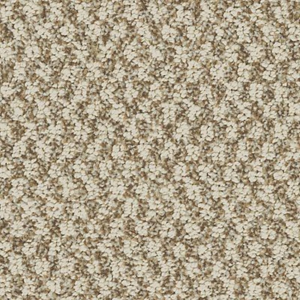 Pattern Ginger Snap Beige/Tan Carpet