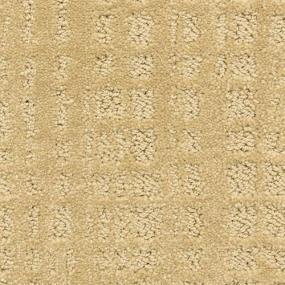 Pattern Corn Maze Beige/Tan Carpet