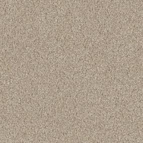 Textured Saxony Museum Beige/Tan Carpet