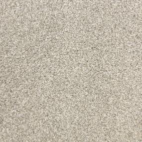 Textured Saxony Titanium Beige/Tan Carpet