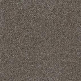 Textured Saxony Kensington Beige/Tan Carpet