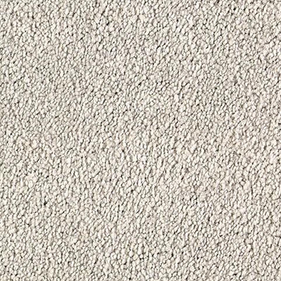 Textured Saxony Cosmopolitan White Carpet